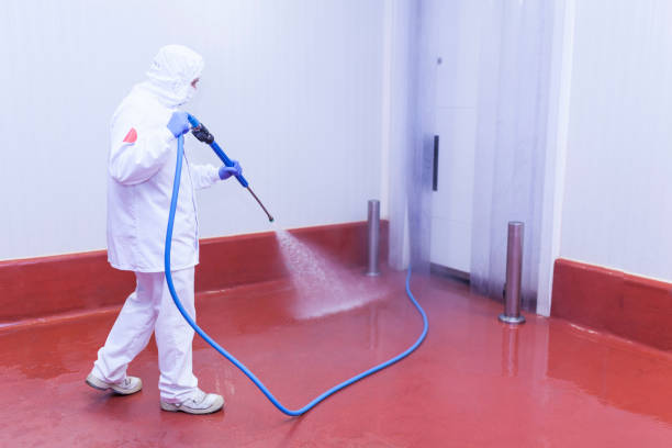 Trusted Lathrop, MO Pressure Washing Services Experts