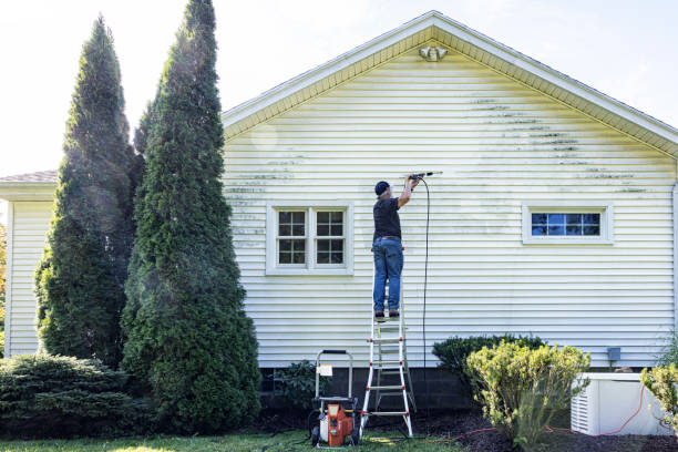Best Roof Washing  in Lathrop, MO
